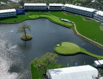 Sawgrass